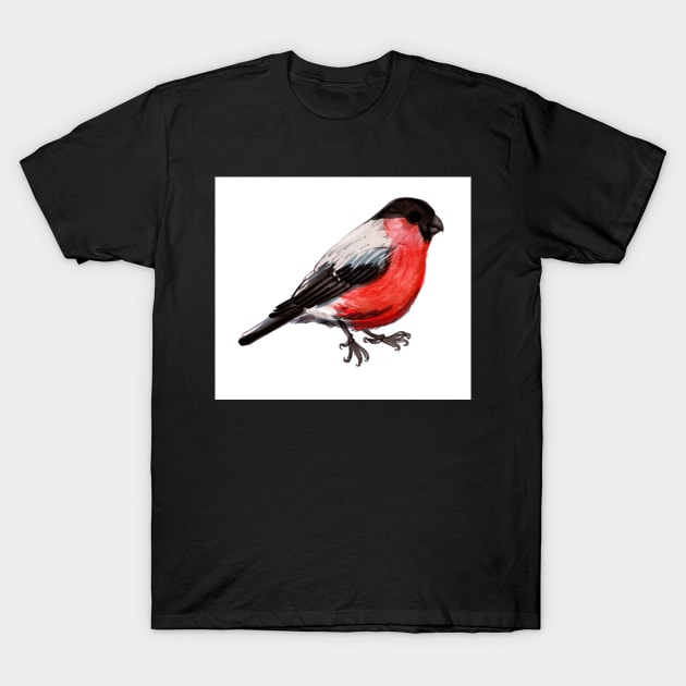 Bullfinch T-Shirt by sadnettles